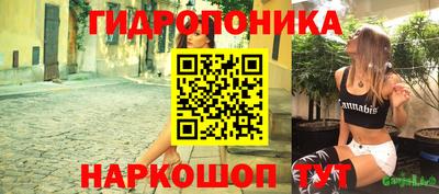 apvp Гай