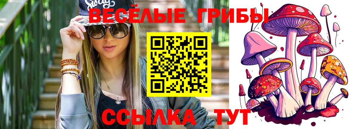 Галлюциногенные грибы Psilocybine cubensis Муравленко