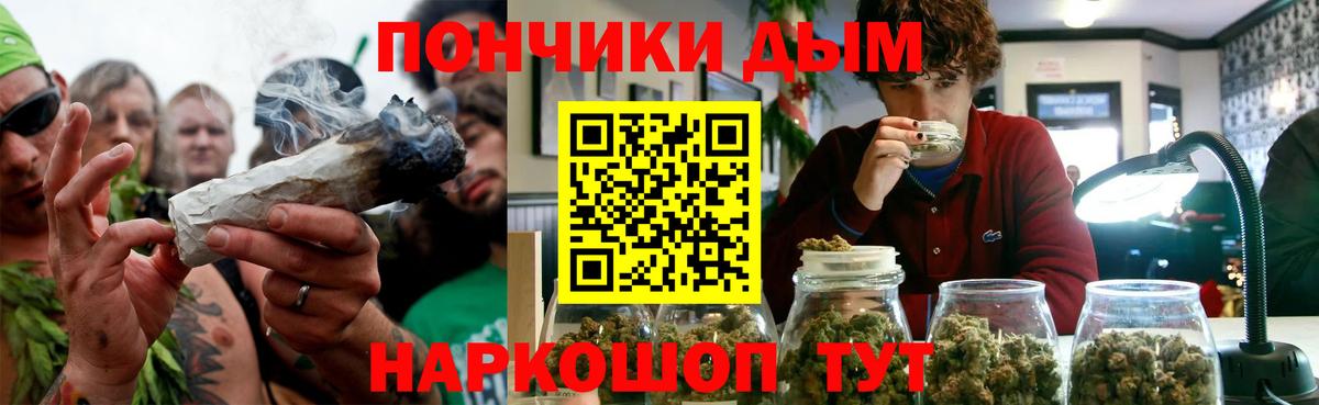 Бошки Шишки планчик Муравленко